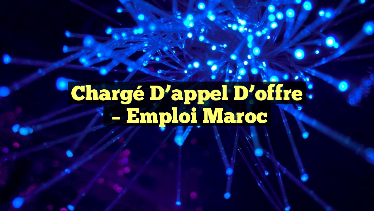 Chargé D&rsquo;appel D&rsquo;offre
– Emploi Maroc