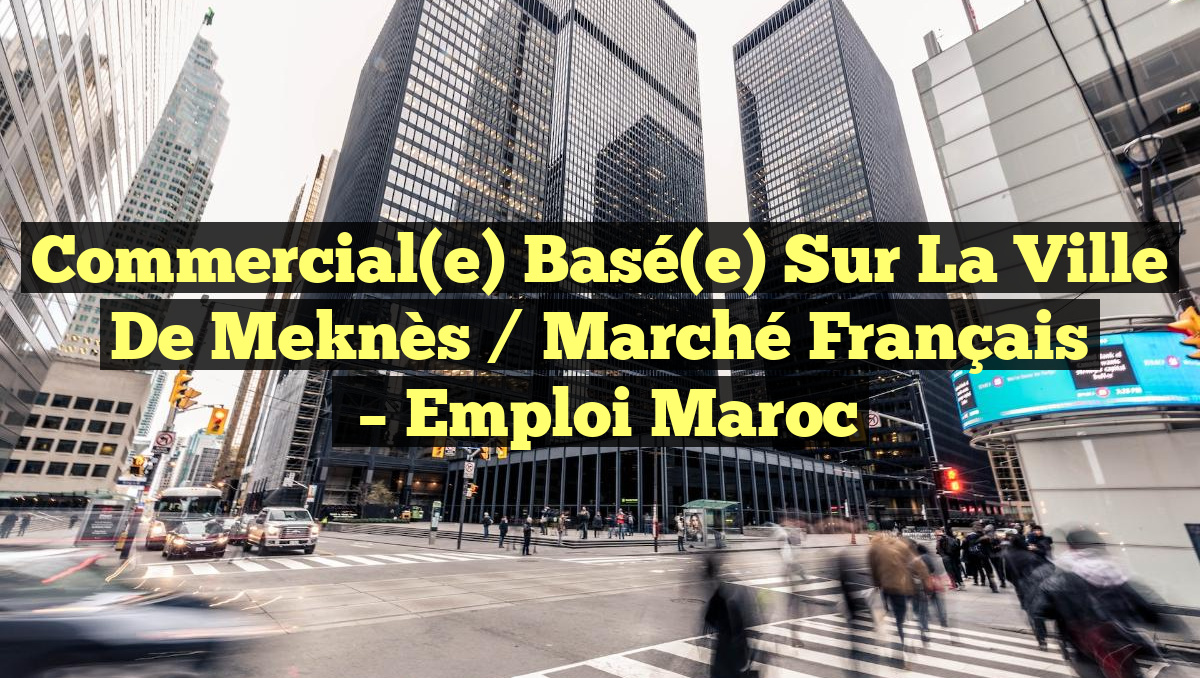Commercial(e) Basé(e) Sur la Ville de Meknès / Marché Français
– Emploi Maroc