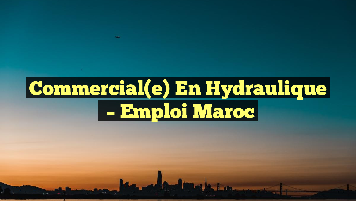Commercial(e) en Hydraulique
– Emploi Maroc
