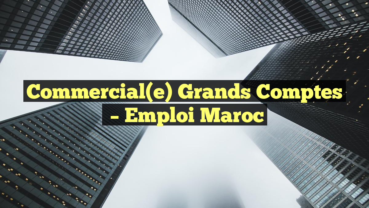 Commercial(e) Grands Comptes
– Emploi Maroc