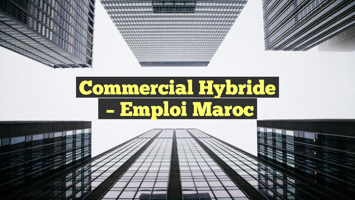 Commercial Hybride
– Emploi Maroc