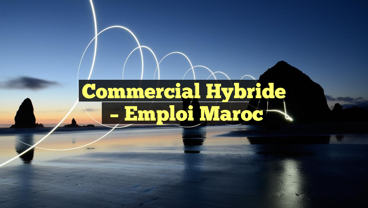 Commercial Hybride
– Emploi Maroc
