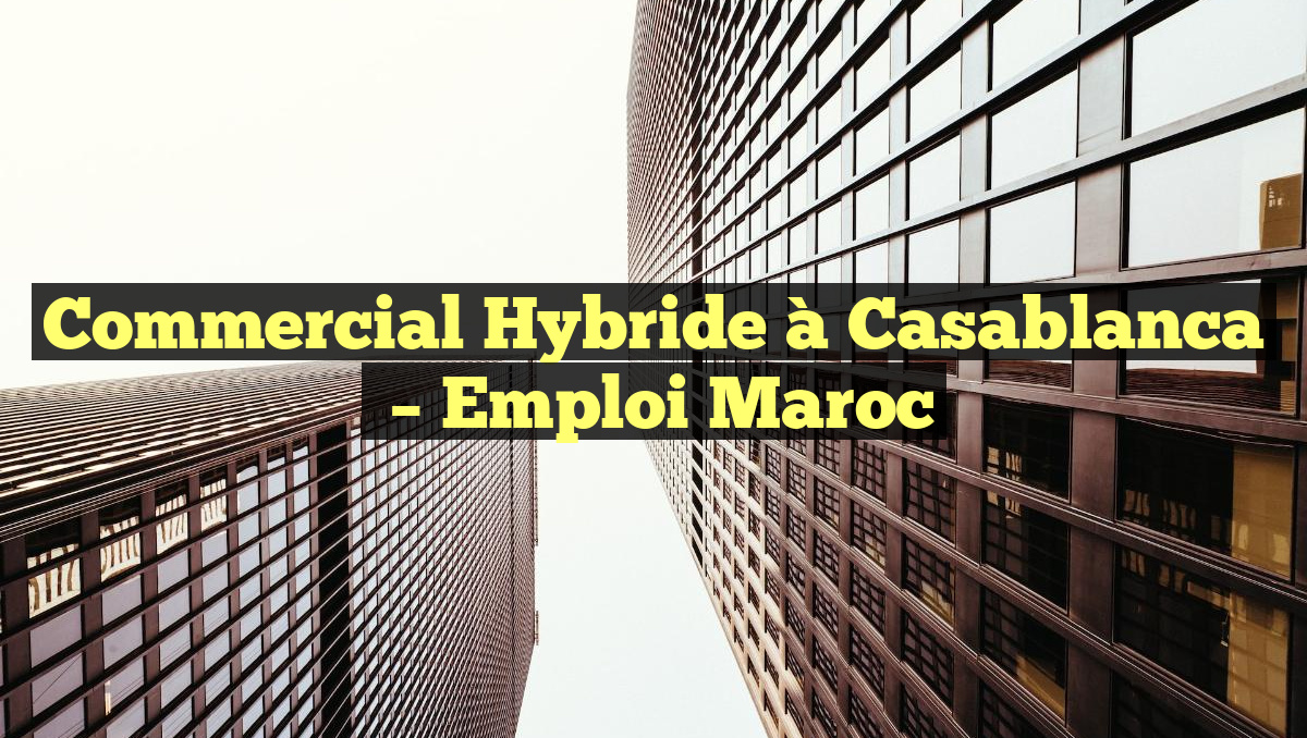Commercial Hybride à Casablanca
– Emploi Maroc