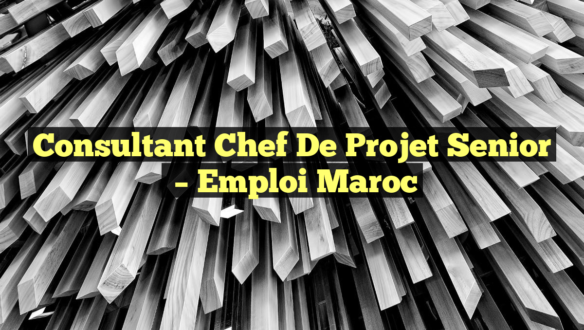 Consultant Chef de Projet Senior
– Emploi Maroc