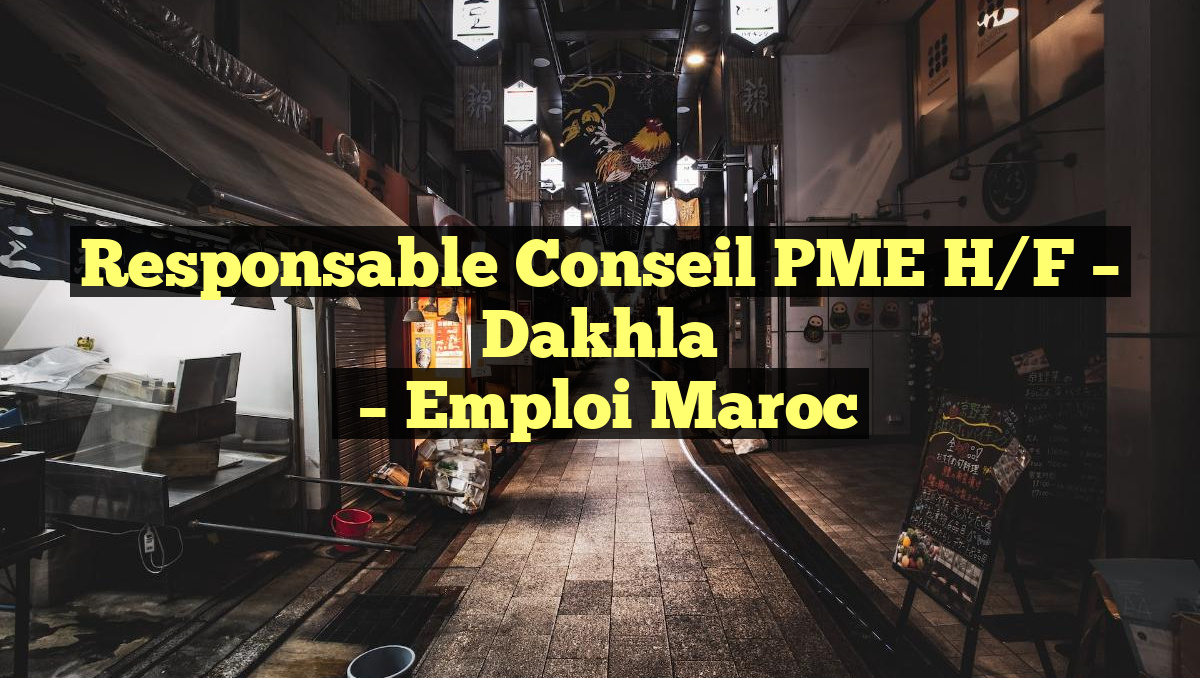 Responsable Conseil PME H/F – Dakhla
– Emploi Maroc