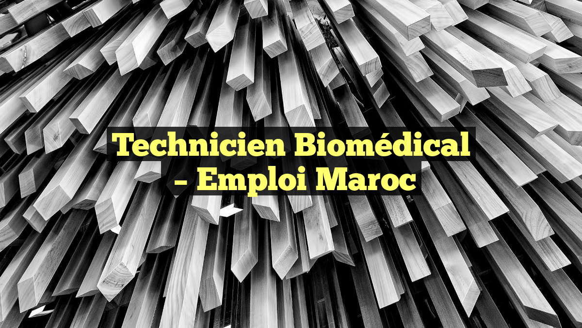 Technicien Biomédical
– Emploi Maroc