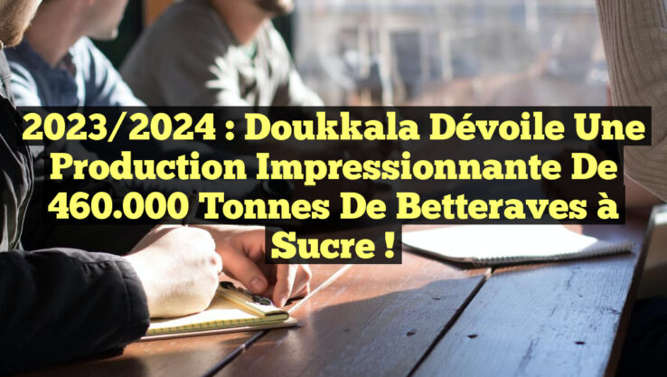 2023/2024 : Doukkala dévoile une production impressionnante de 460.000 tonnes de betteraves à sucre !