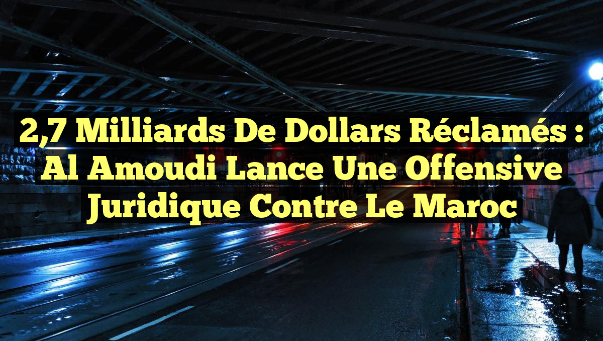 2,7 Milliards de Dollars Réclamés : Al Amoudi Lance une Offensive Juridique contre le Maroc
