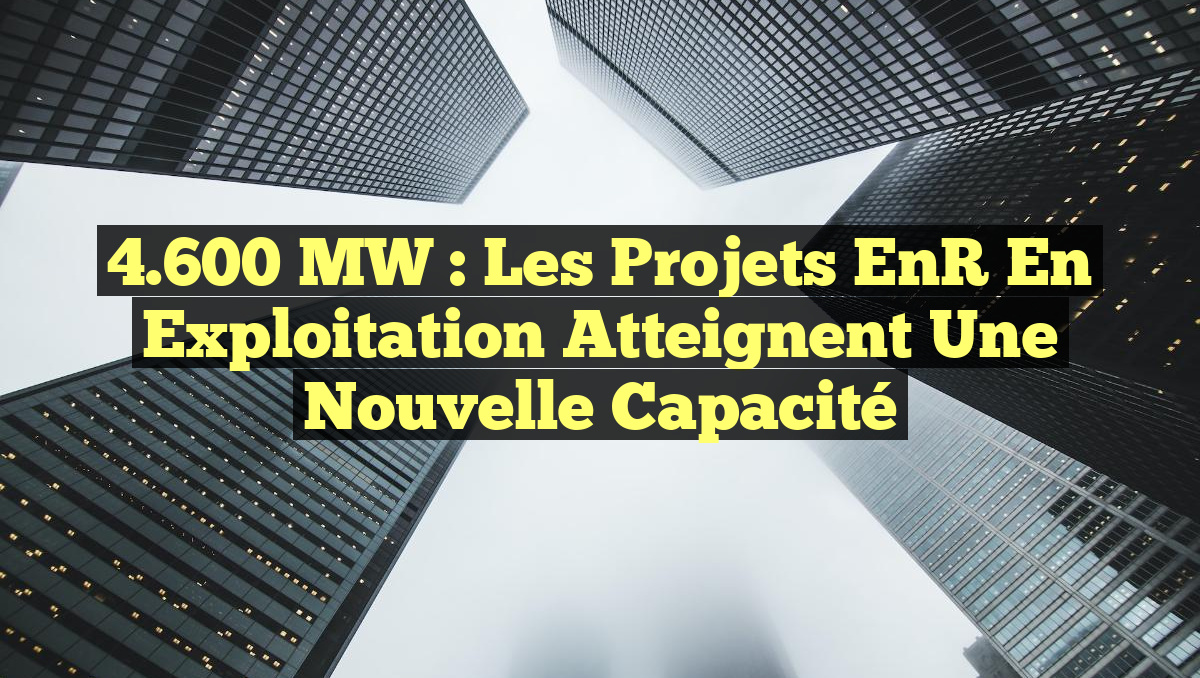 4.600 MW : Les Projets EnR en Exploitation Atteignent une Nouvelle Capacité