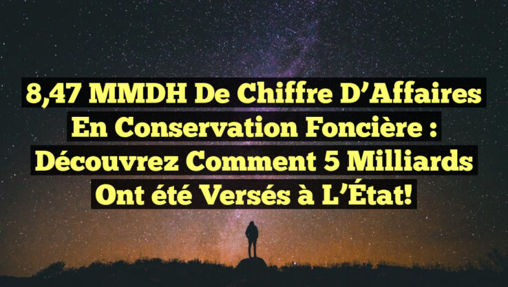 8,47 MMDH de Chiffre d’Affaires en Conservation Foncière : Découvrez comment 5 Milliards ont été Versés à l’État!