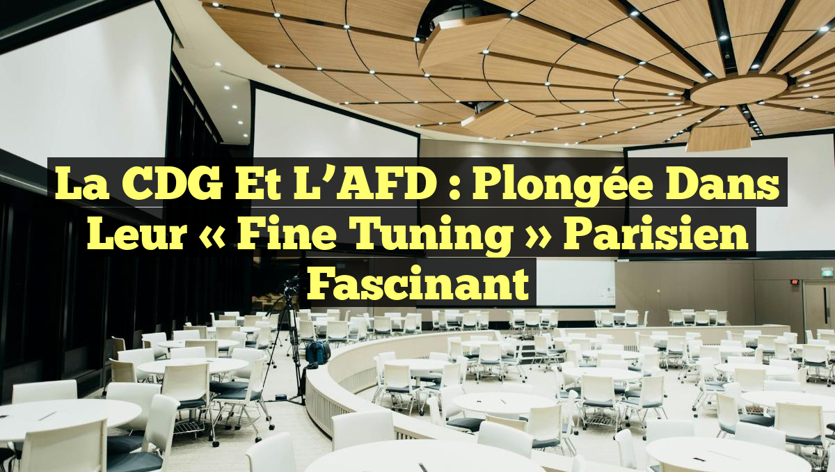 La CDG et l&rsquo;AFD : Plongée dans leur « Fine Tuning » Parisien Fascinant