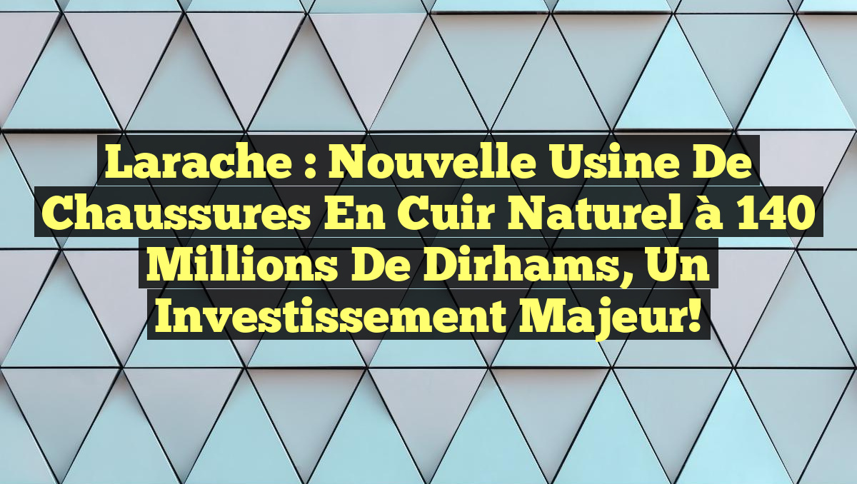 Larache : Nouvelle usine de chaussures en cuir naturel à 140 millions de dirhams, un investissement majeur!