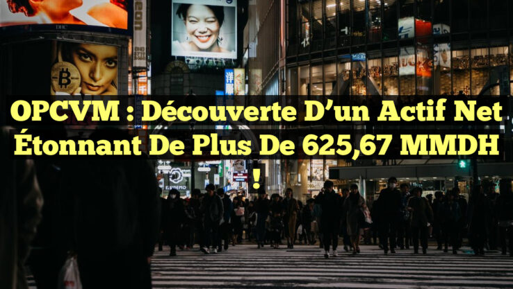 OPCVM : Découverte d’un Actif Net Étonnant de Plus de 625,67 MMDH !