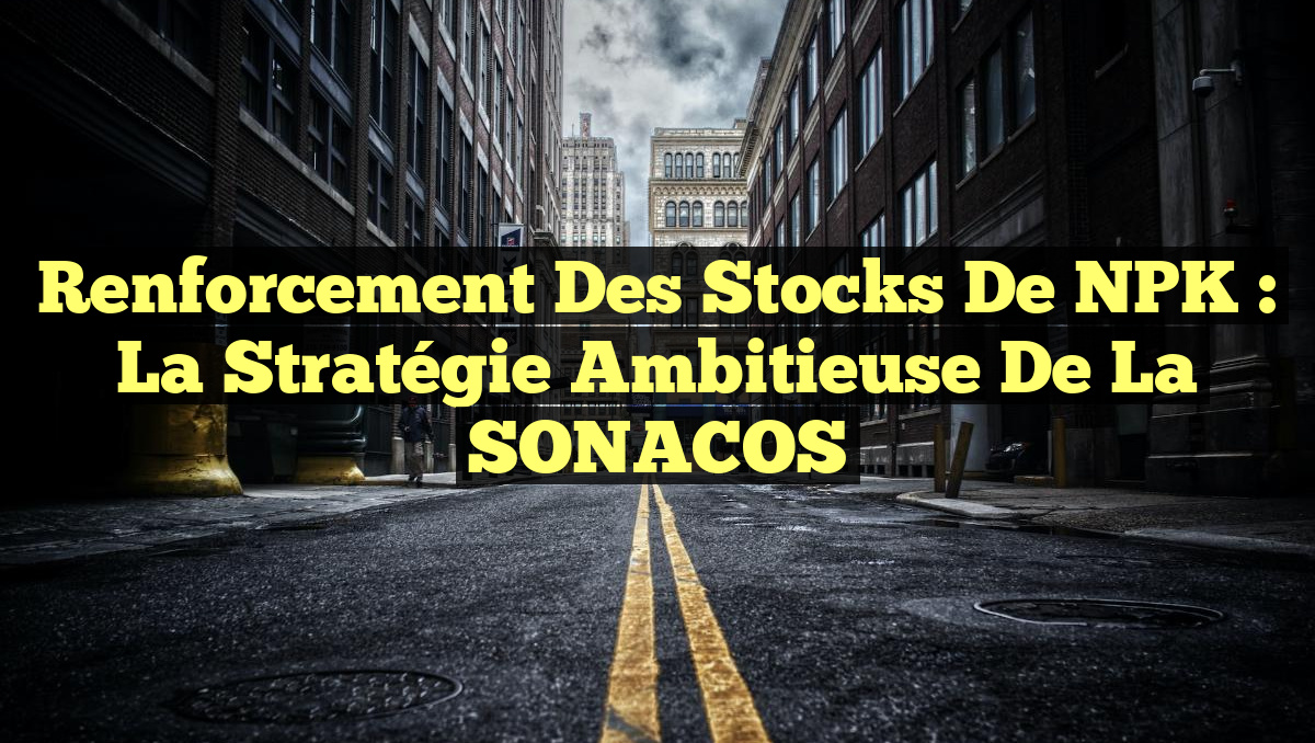 Renforcement des Stocks de NPK : La Stratégie Ambitieuse de la SONACOS