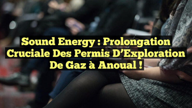 Sound Energy : Prolongation Cruciale des Permis d’Exploration de Gaz à Anoual ! Sound Energy : Prolongation Cruciale des Permis d’Exploration de Gaz à Anoual !