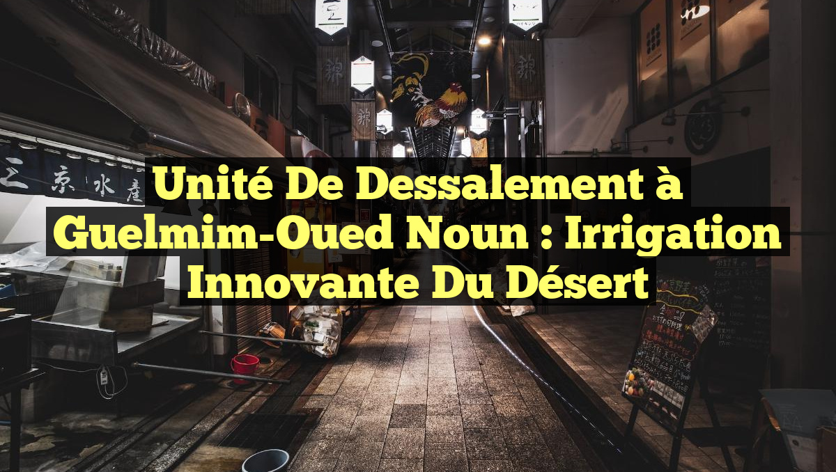 Unité de Dessalement à Guelmim-Oued Noun : Irrigation Innovante du Désert