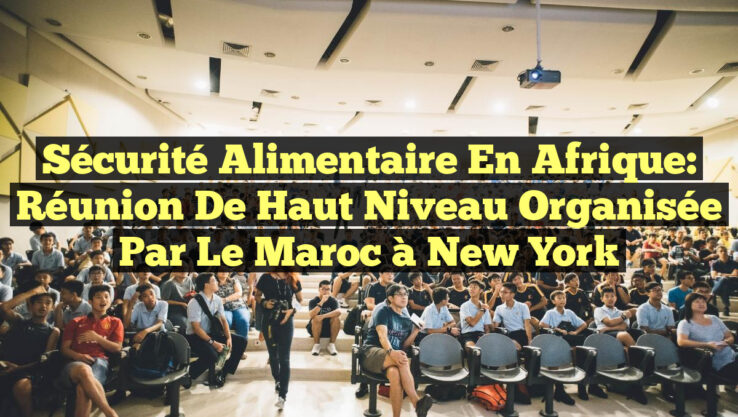 Sécurité Alimentaire en Afrique: Réunion de Haut Niveau Organisée par le Maroc à New York