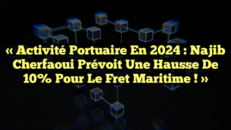 « Activité portuaire en 2024 : Najib Cherfaoui prévoit une hausse de 10% pour le fret maritime ! »