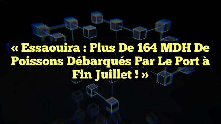 « Essaouira : Plus de 164 MDH de poissons débarqués par le port à fin juillet ! »