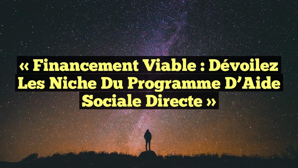 « Financement Viable : Dévoilez les Niche du Programme d’Aide Sociale Directe »