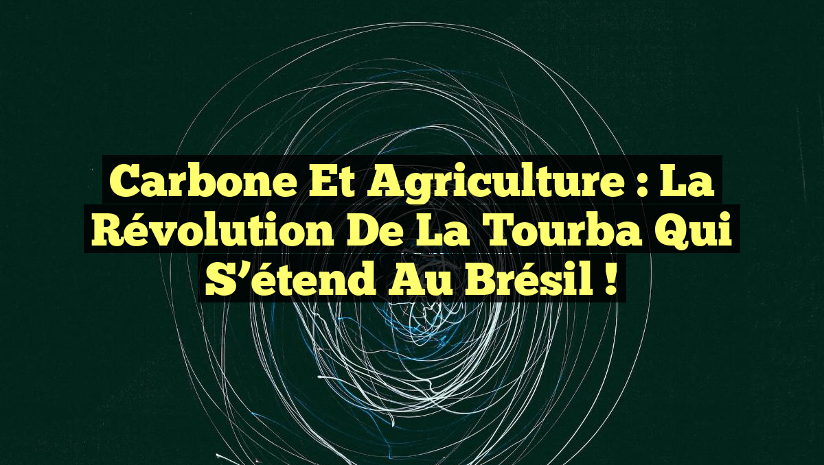 Carbone et Agriculture : La Révolution de la Tourba qui S&rsquo;étend au Brésil !