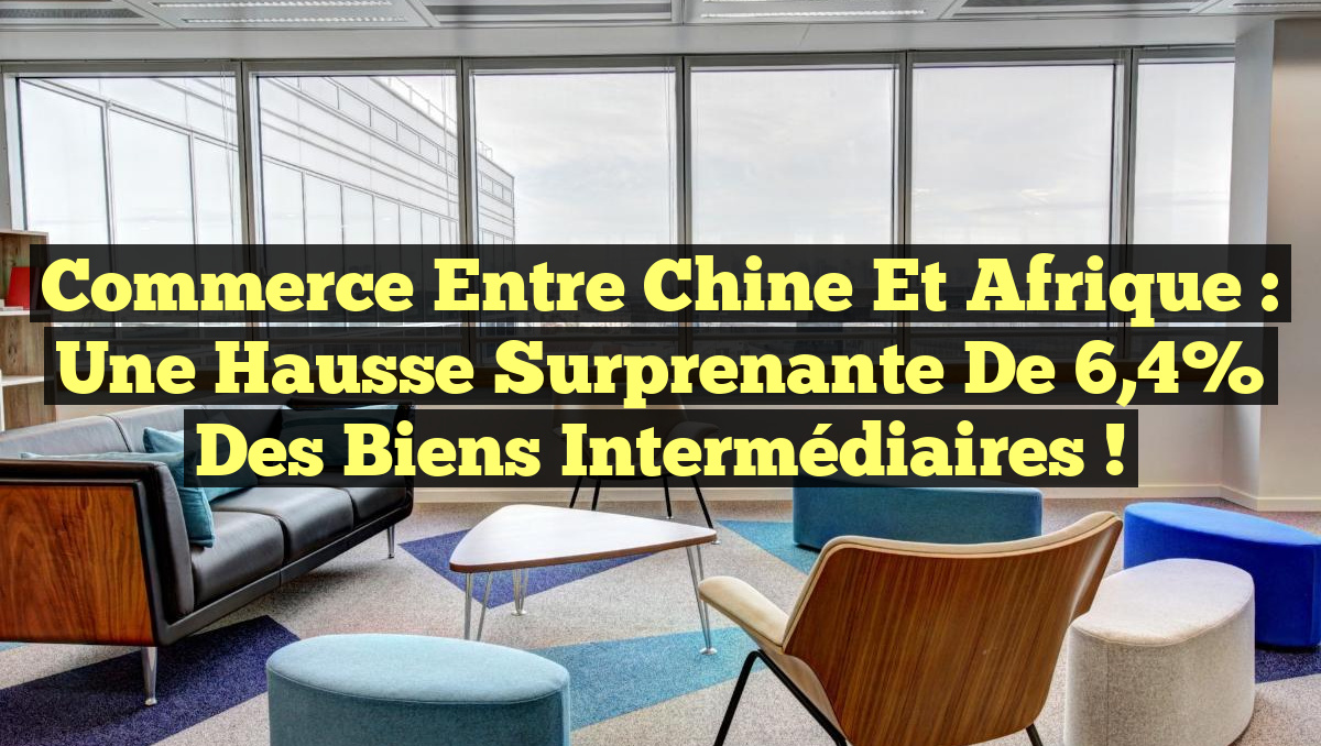 Commerce entre Chine et Afrique : Une hausse surprenante de 6,4% des biens intermédiaires !