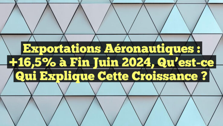 Exportations Aéronautiques : +16,5% à Fin Juin 2024, Qu’est-ce qui Explique cette Croissance ?