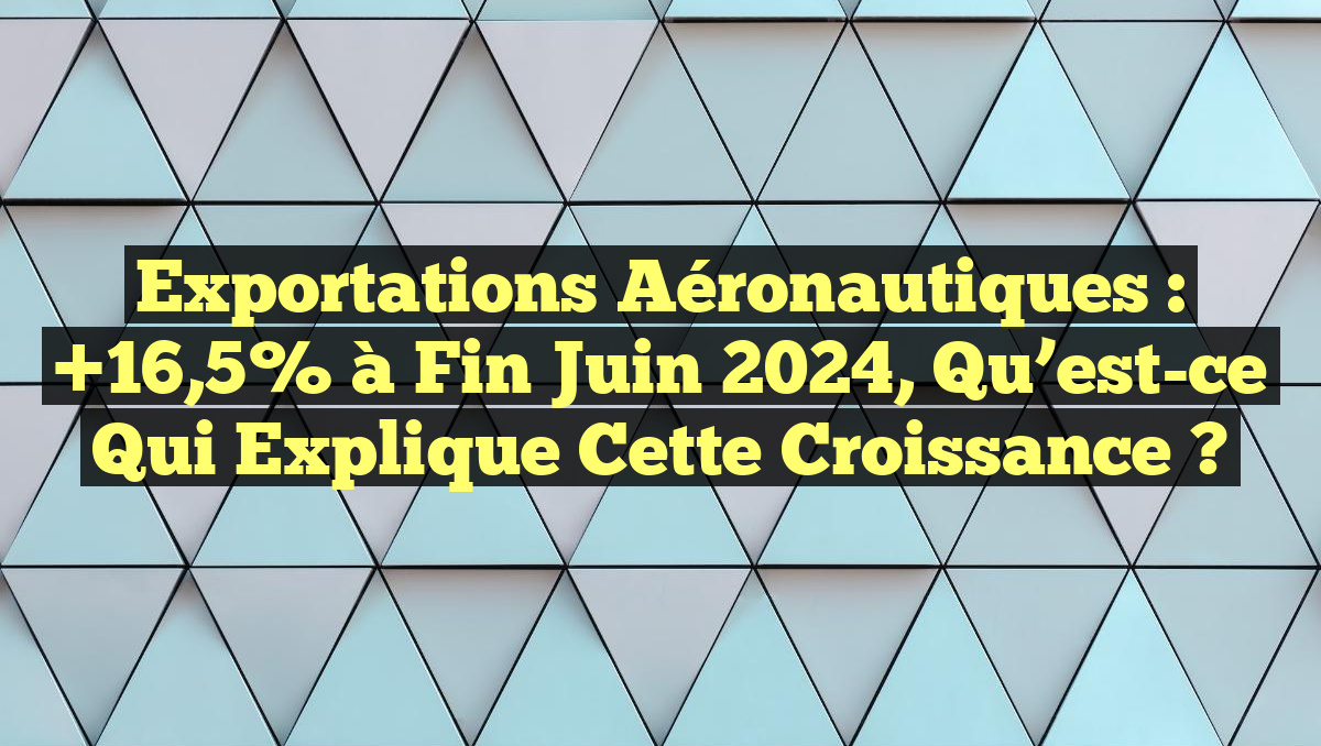 Exportations Aéronautiques : +16,5% à Fin Juin 2024, Qu&rsquo;est-ce qui Explique cette Croissance ?