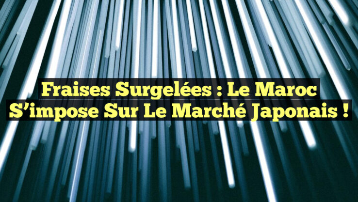 Fraises surgelées : Le Maroc s’impose sur le marché japonais ! Fraises surgelées : Le Maroc s’impose sur le marché japonais !