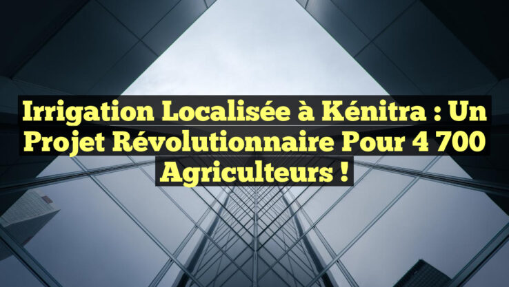 Irrigation Localisée à Kénitra : Un Projet Révolutionnaire pour 4 700 Agriculteurs !