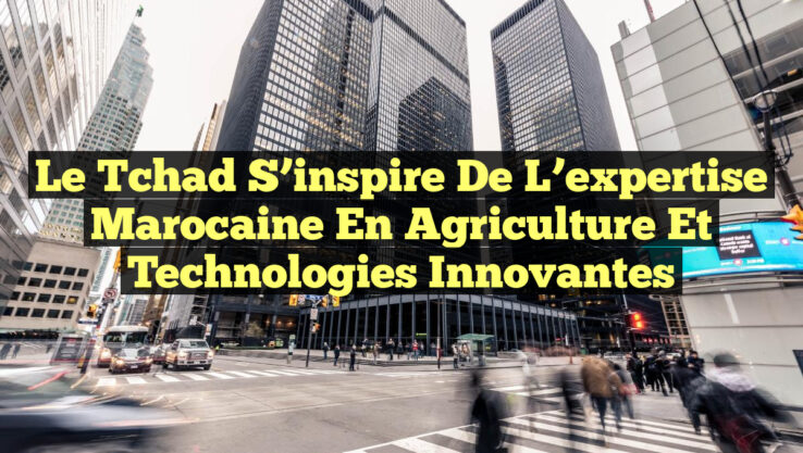Le Tchad s’inspire de l’expertise marocaine en agriculture et technologies innovantes