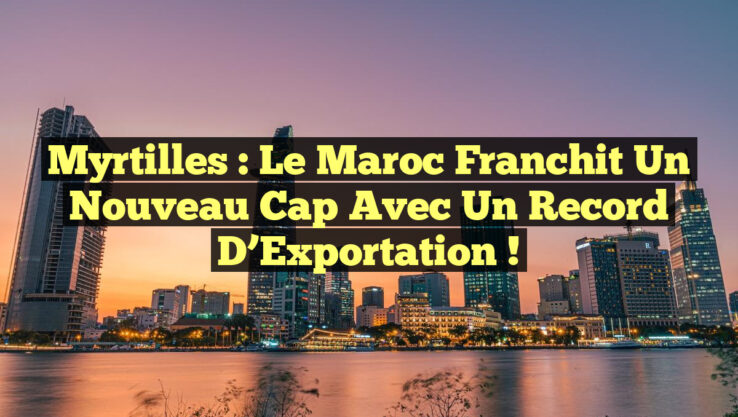 Myrtilles : Le Maroc Franchit un Nouveau Cap avec un Record d’Exportation !