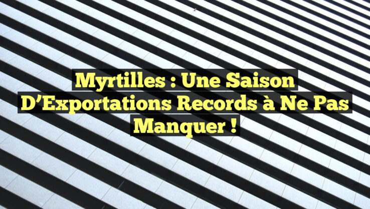 Myrtilles : Une Saison d’Exportations Records à Ne Pas Manquer !