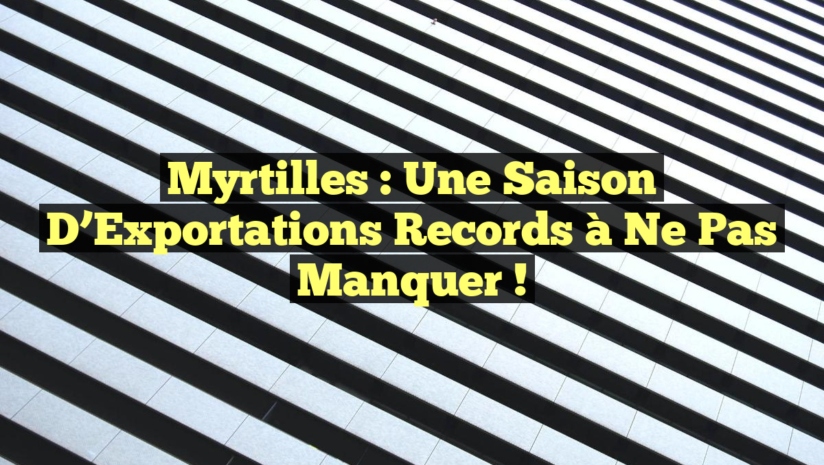 Myrtilles : Une Saison d&rsquo;Exportations Records à Ne Pas Manquer !