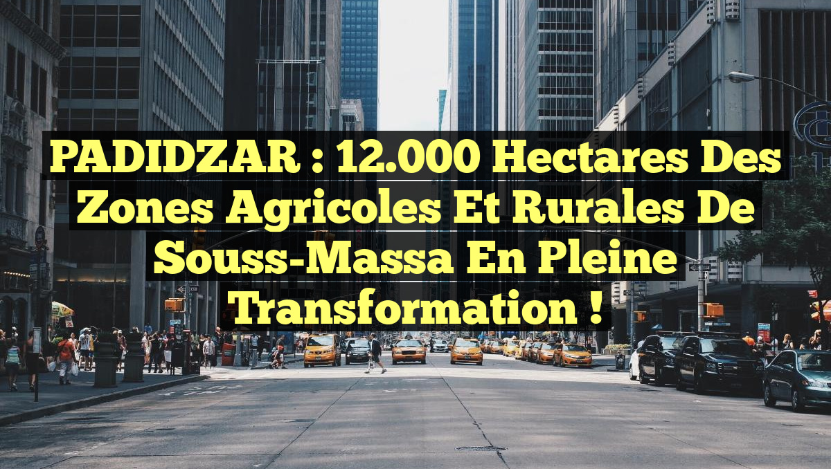 PADIDZAR : 12.000 hectares des zones agricoles et rurales de Souss-Massa en pleine transformation !