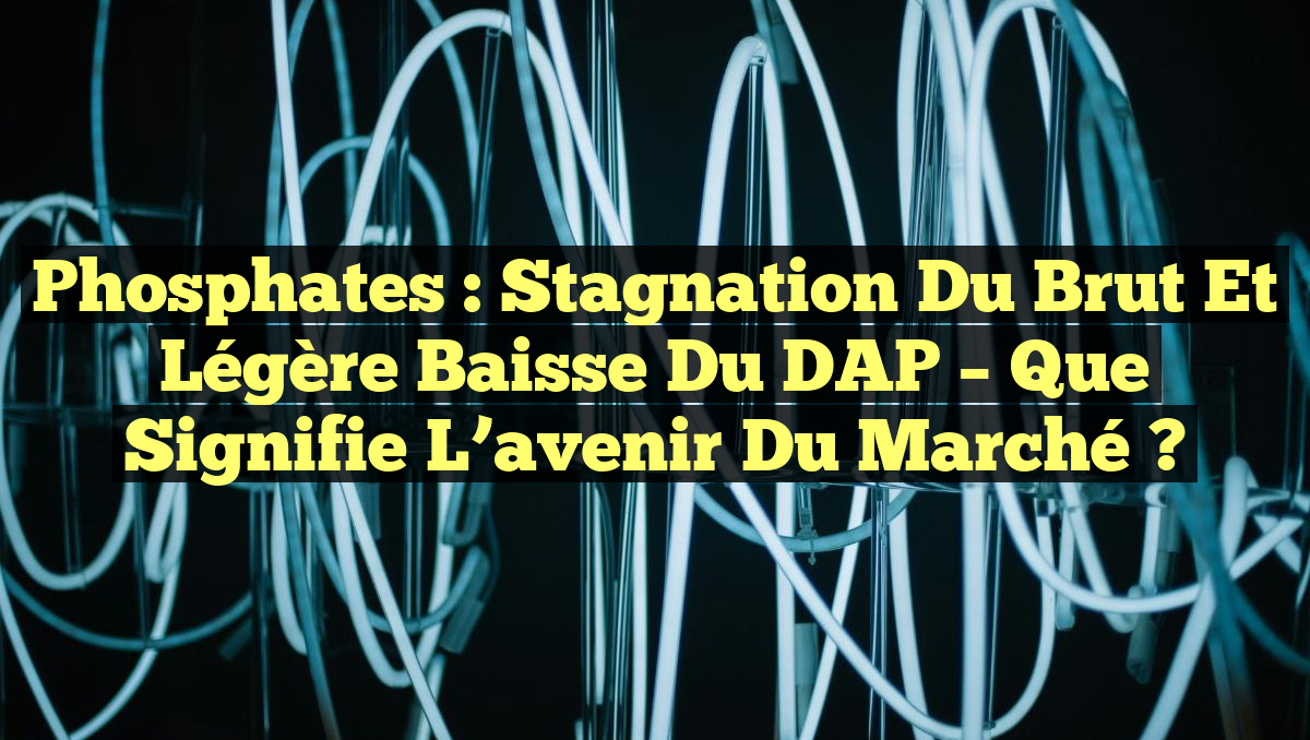 Phosphates : Stagnation du brut et légère baisse du DAP – Que signifie l&rsquo;avenir du marché ?