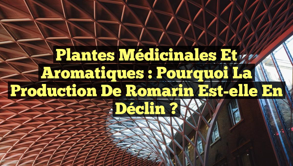 Plantes Médicinales et Aromatiques : Pourquoi la Production de Romarin Est-elle en Déclin ?