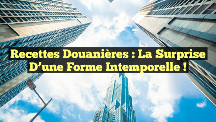 Recettes douanières : la surprise d’une forme intemporelle !