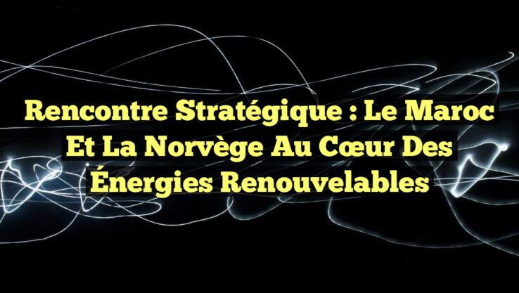 Rencontre stratégique : Le Maroc et la Norvège au cœur des Énergies Renouvelables