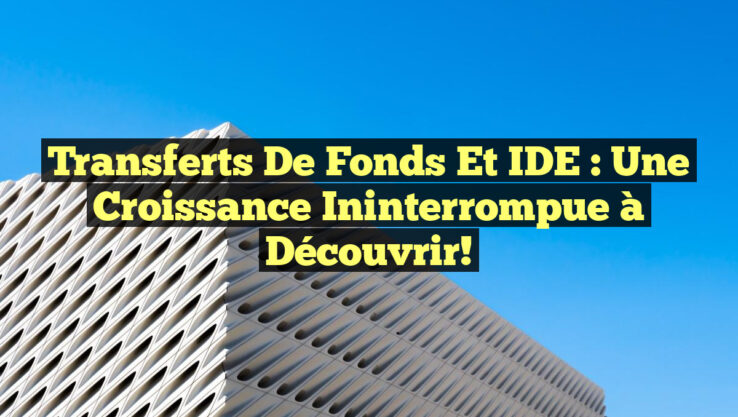 Transferts de fonds et IDE : Une Croissance Ininterrompue à Découvrir!