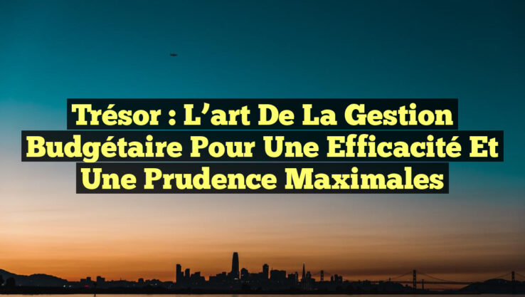 Trésor : L’art de la gestion budgétaire pour une efficacité et une prudence maximales