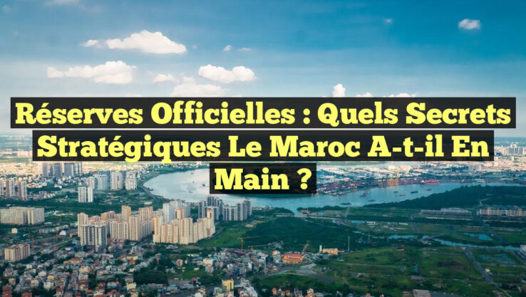 Réserves Officielles : Quels Secrets Stratégiques le Maroc a-t-il en Main ?
