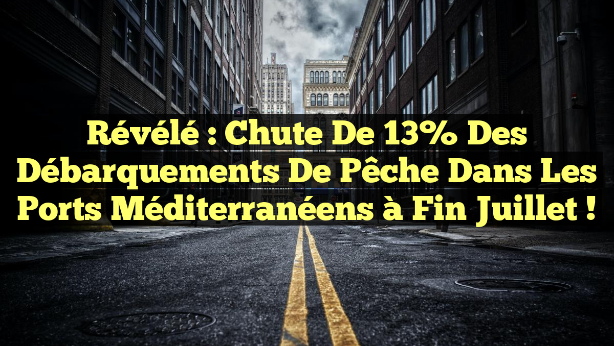 Révélé : Chute de 13% des Débarquements de Pêche dans les Ports Méditerranéens à Fin Juillet !