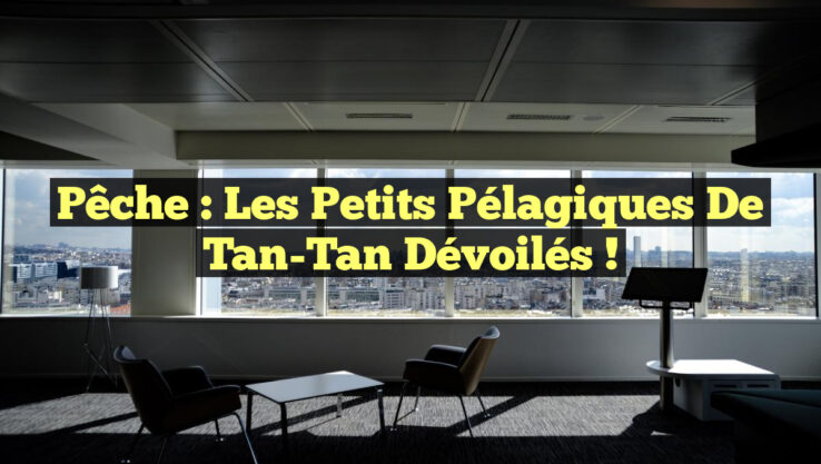 Pêche : Les Petits Pélagiques de Tan-Tan Dévoilés !