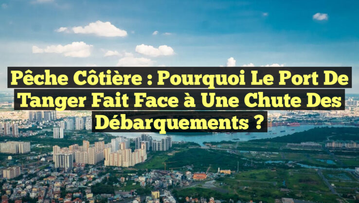 Pêche côtière : Pourquoi le port de Tanger fait face à une chute des débarquements ?