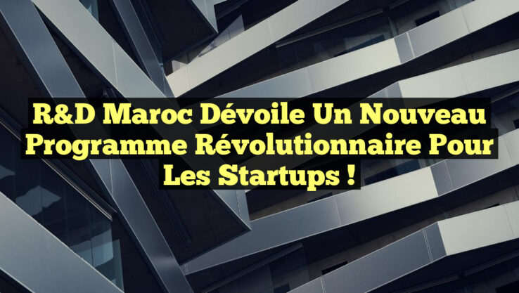 R&D Maroc Dévoile un Nouveau Programme Révolutionnaire pour les Startups !