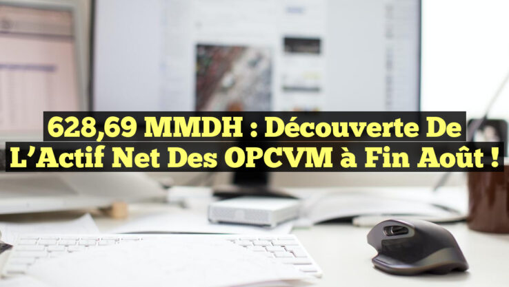 628,69 MMDH : Découverte de l’Actif Net des OPCVM à fin août !