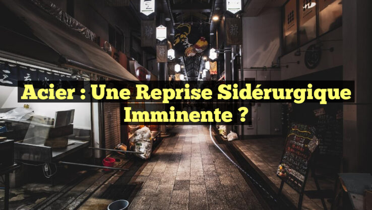 Acier : Une Reprise Sidérurgique Imminente ?