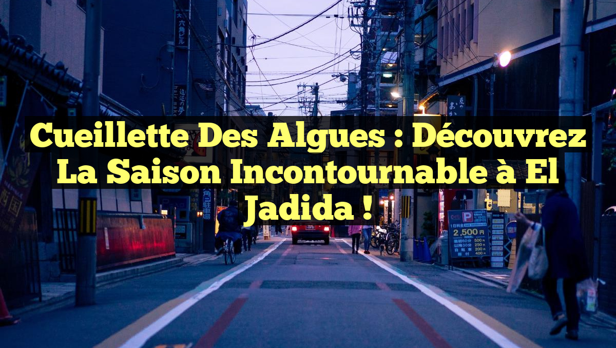 Cueillette des Algues : Découvrez la Saison Incontournable à El Jadida !