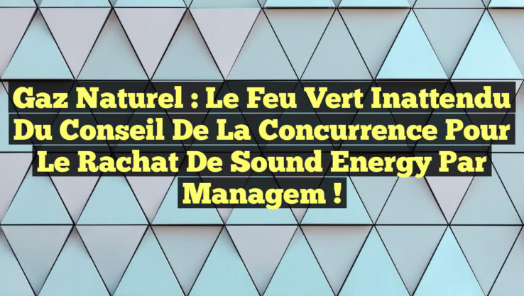 Gaz Naturel : Le feu vert inattendu du Conseil de la Concurrence pour le rachat de Sound Energy par Managem !